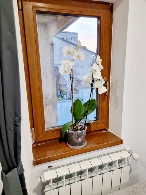 Cozy Apartment Near City Center ブカレスト エクステリア 写真